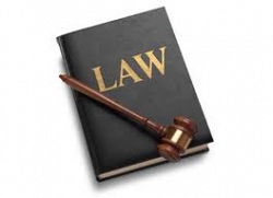 Tư vấn doanh nghiệp